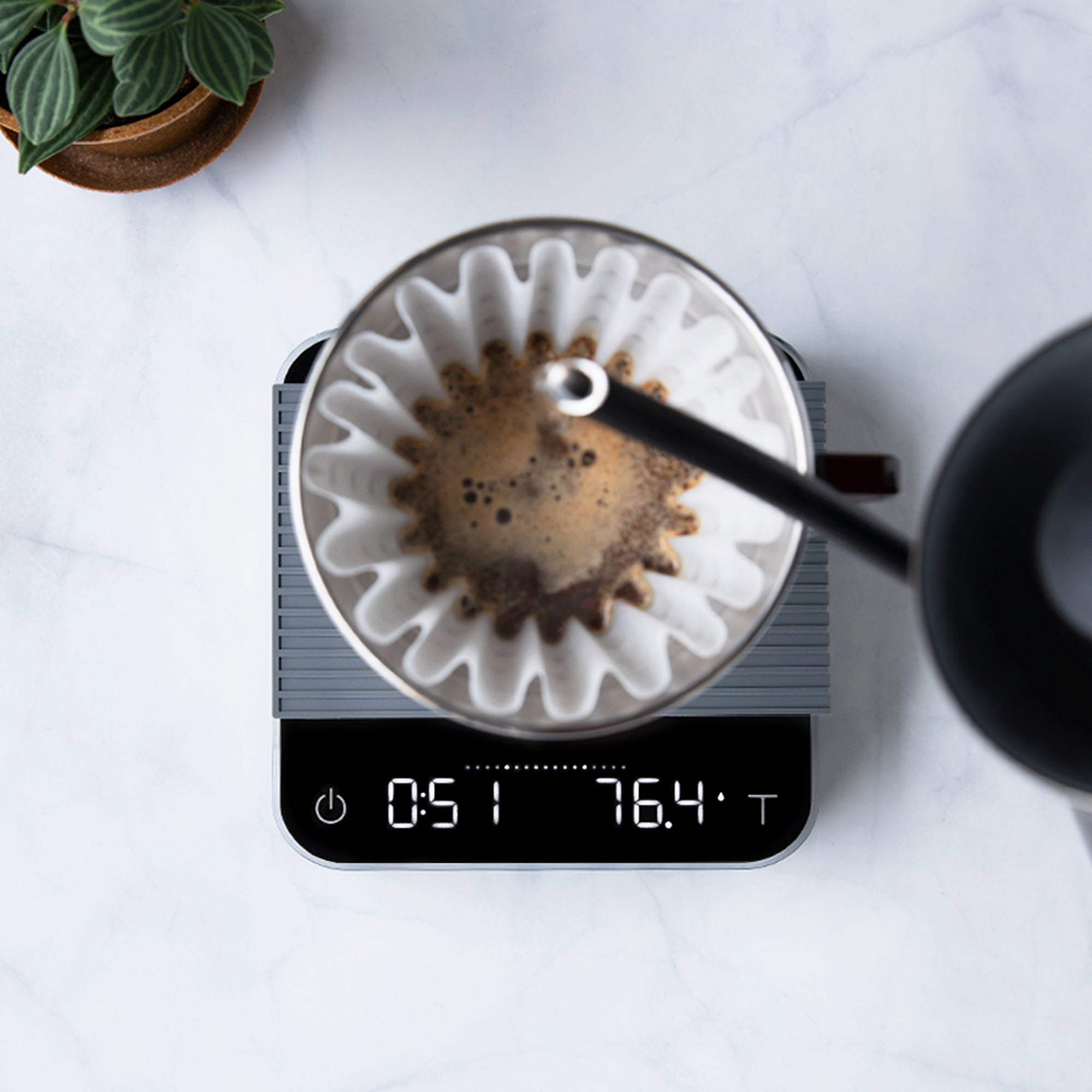 Acaia Pearl Scale
