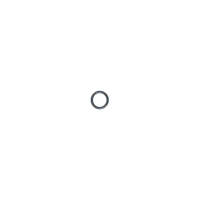 Steam Tip O-Ring