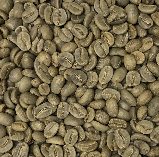 FTO Guatemalan